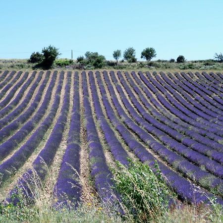 La Terrasse D'Olea, Au Coeur Du Village บุยส์-เลส์-บาโรนนีส์ ภายนอก รูปภาพ